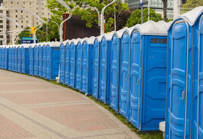 Seasonal porta potty units set up at a Batavia, New York venue